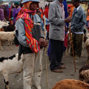 Young Shepherd at Market