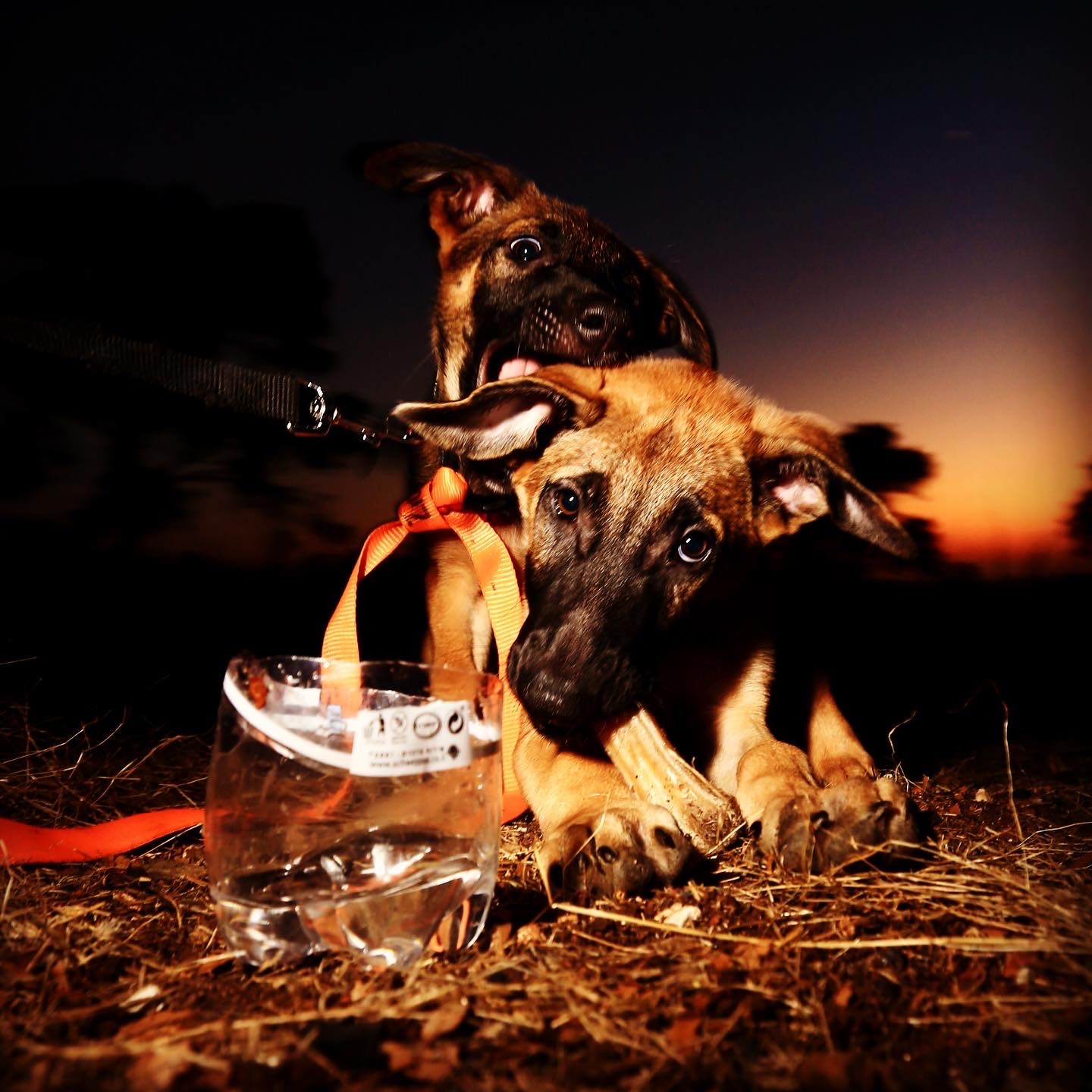 F57E41CB-088D-4109-AF02-85C4CC3DBCDA_product